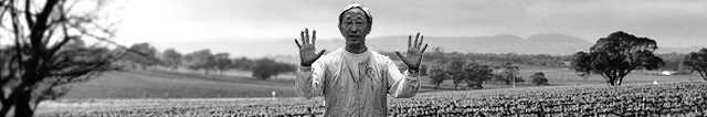 chi kung del sistema baguazhang